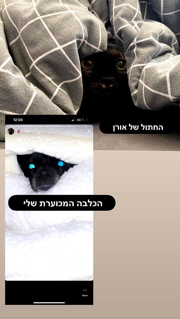liliashaked instagram image archive image