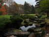 forestowwwl Altpins Profile Picture