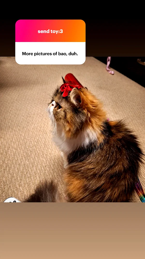 mirekyarahire instagram image archive image
