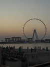 daniella_zeldis Altpins Profile Picture