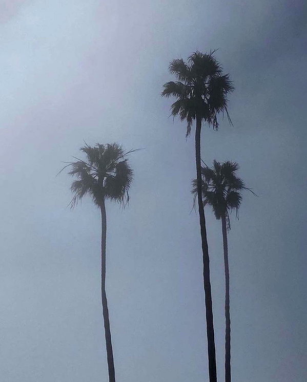 kelseydopegal instagram image archive image
