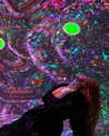 rouxroux.tv Altpins Profile Picture