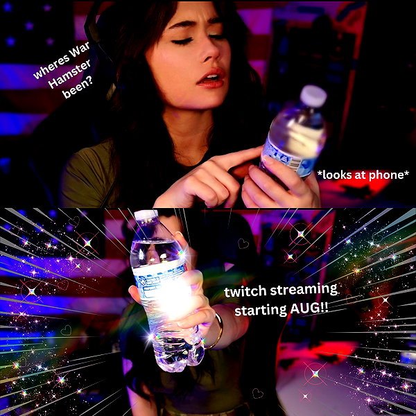 war_hamster6 instagram image archive image