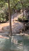 dina_shrago Altpins Profile Picture