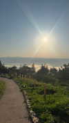 _hilaluu Altpins Profile Picture
