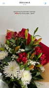 sonia.v._ Altpins Profile Picture