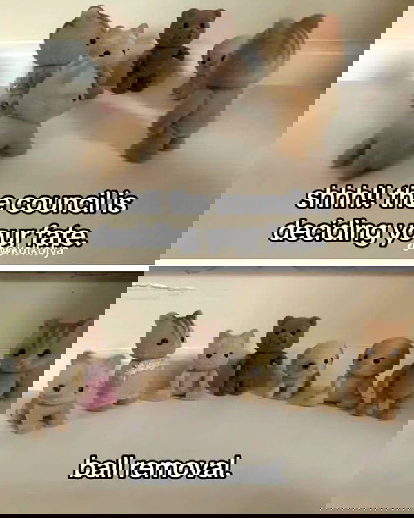 m1chelleluna m1chelleluna archive image