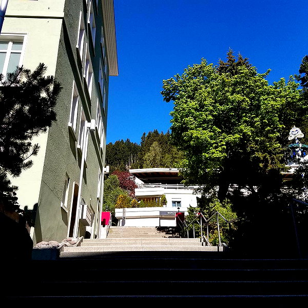 muze instagram image archive image