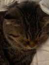 wannabeyourbabygirl Altpins Profile Picture