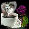 carmaxlla Altpins Profile Picture