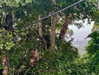 fallen.angel2007 Altpins Profile Picture
