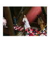gigihadid Altpins Profile Picture