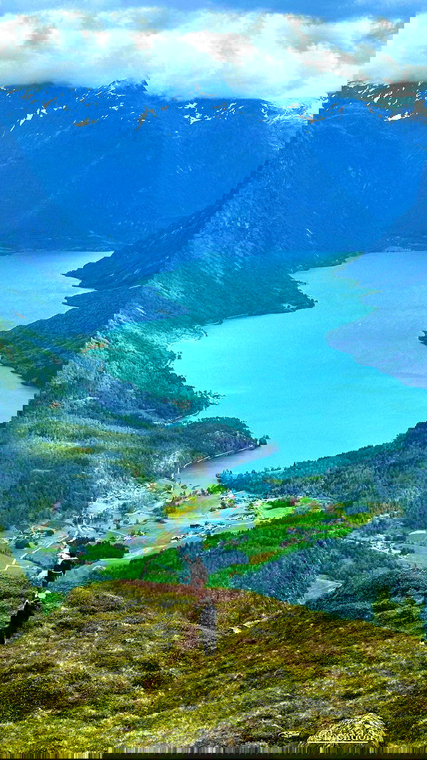 taylor.creeden taylor.creeden archive image