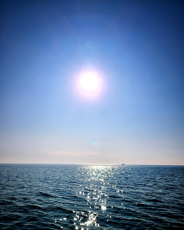 xombunni instagram image archive image