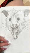 schnuckell Altpins Profile Picture