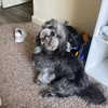 ohheyanastasia Altpins Profile Picture