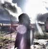 bentevviolet Altpins Profile Picture