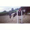kafelnikova_a Altpins Profile Picture