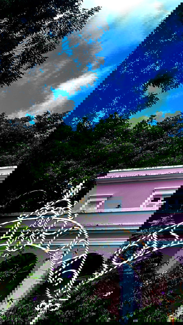 taylor.creeden taylor.creeden archive image