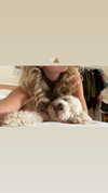 danamrts Altpins Profile Picture