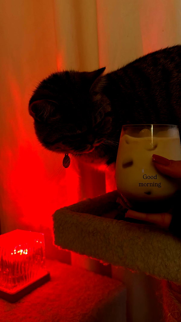 Archived image from @henshitritt on Instagram