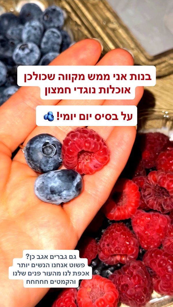 lital.oss instagram image archive image