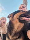 jadelaverne Altpins Profile Picture