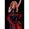 shakira Altpins Profile Picture