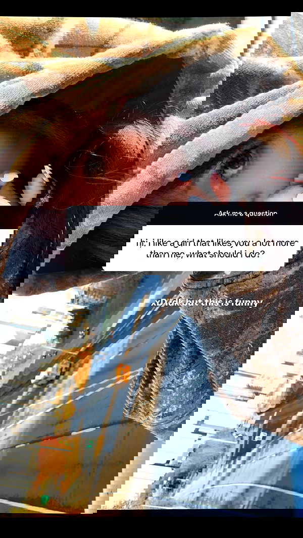 zommmbri zommmbri archive image