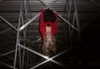 cyber.st4rz Altpins Profile Picture