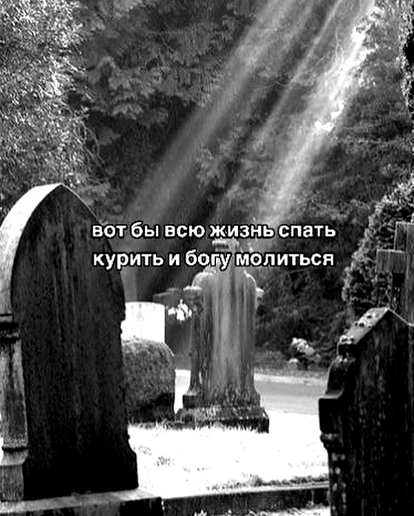 kriskaik instagram image archive image