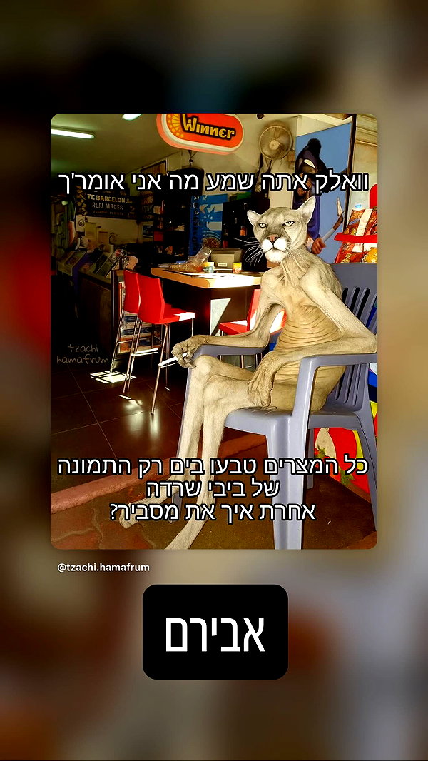 yannaidebeer instagram image archive image