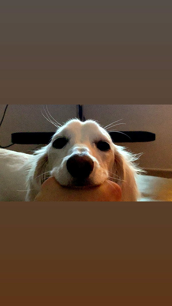 Archived image from @heroineseen on Instagram
