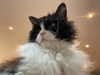 777pb_ Altpins Profile Picture