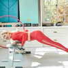 katehudson Altpins Profile Picture