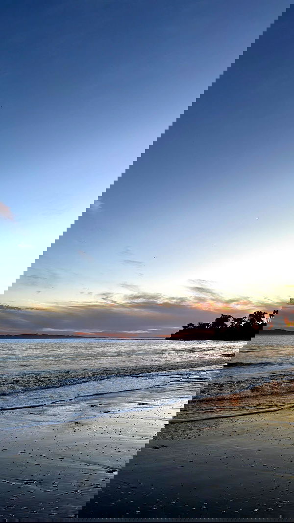 thelizzyporter thelizzyporter archive image