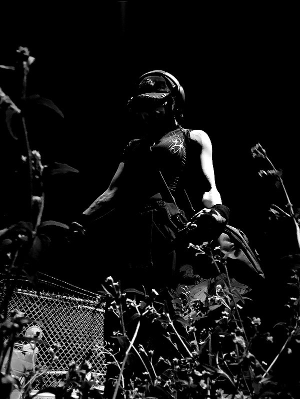 grogusmami instagram image archive image