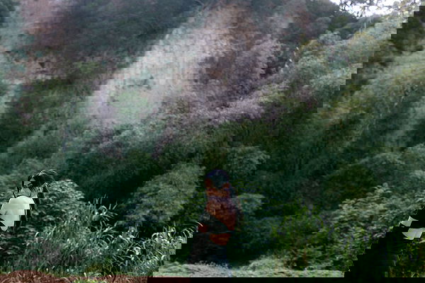 ting851204 ting851204 archive image