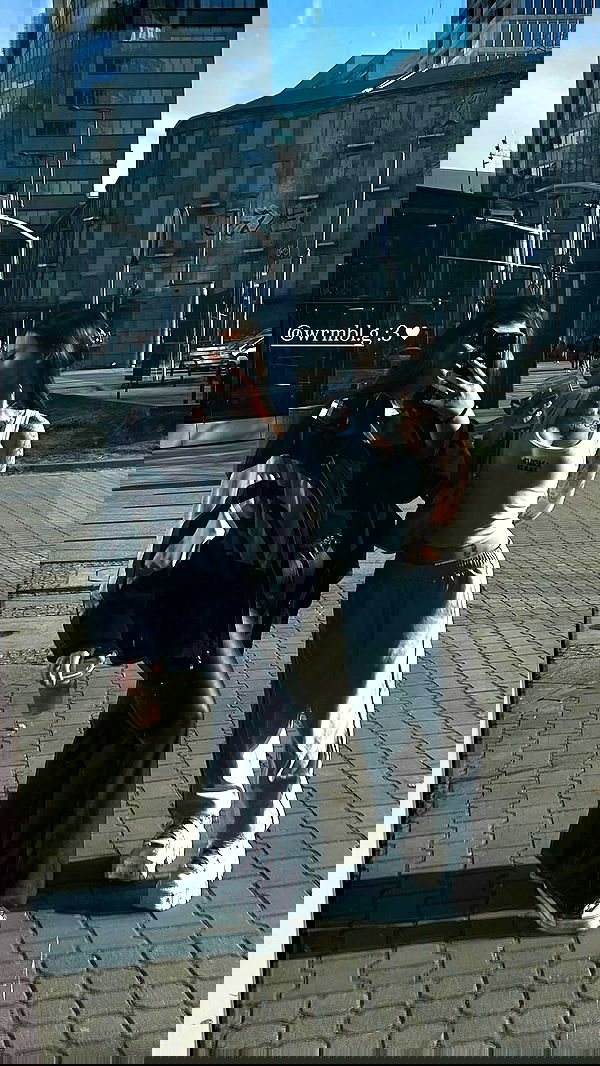 vwnrottie vwnrottie archive image