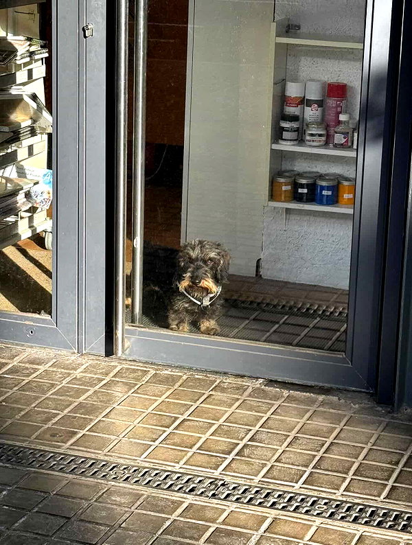 borkwsmh instagram image archive image