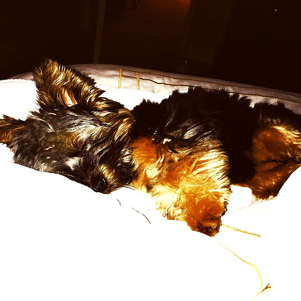 lilbieber instagram image archive image