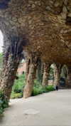 federica.piccinni Altpins Profile Picture