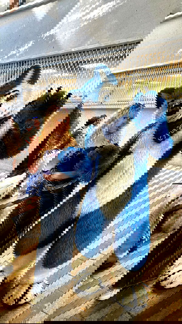 ormosheee ormosheee archive image