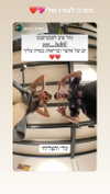 lior_levrun Altpins Profile Picture