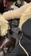 darkstar_mia Altpins Profile Picture
