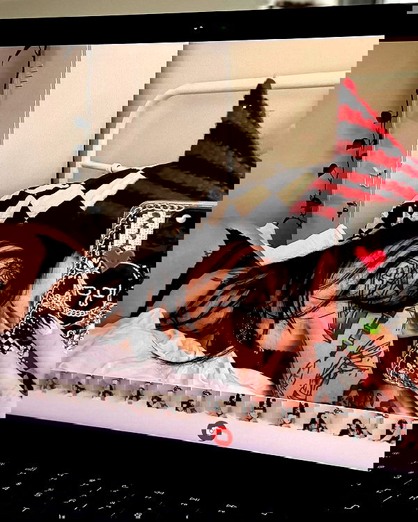 jtilb2 image ~ Altpins