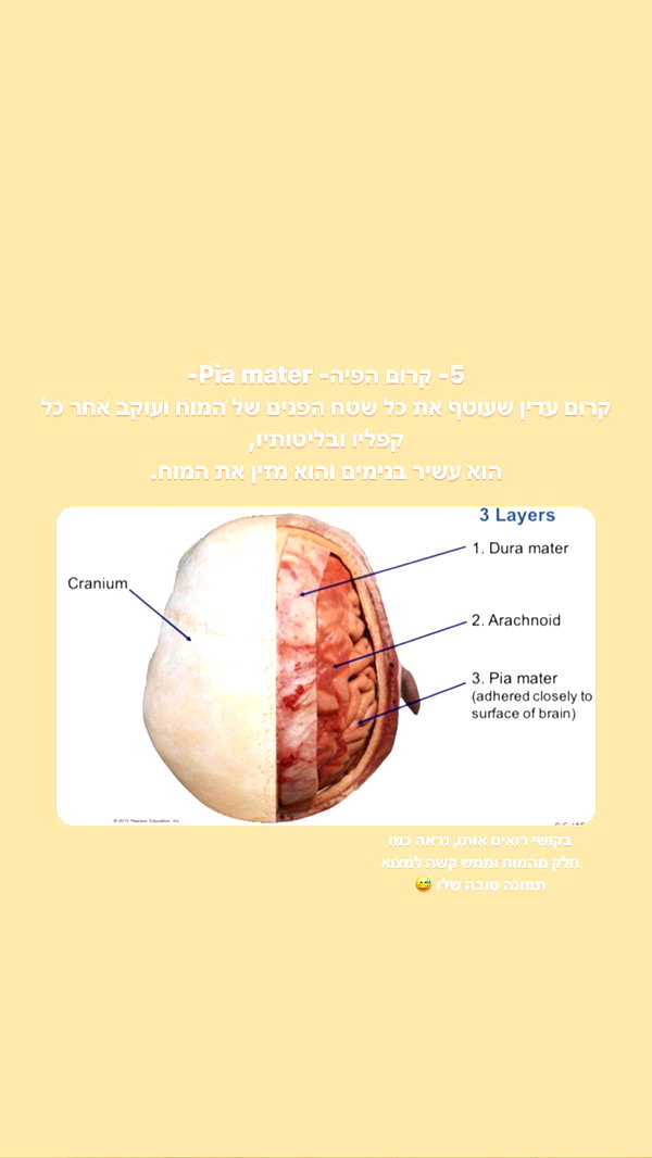kesemgreenyer instagram image archive image