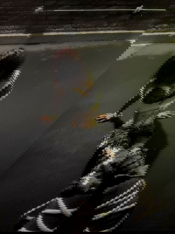 zommmbri zommmbri archive image