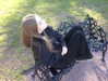 llinolinaa Altpins Profile Picture