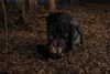ratusfy_ Altpins Profile Picture